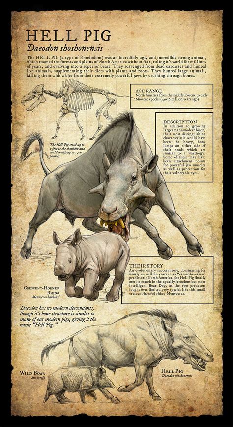 Beautiful Rdr2 Legendary Animals Map Naturalist