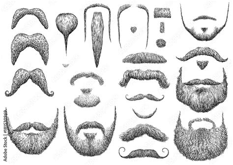 Stockvector Beard Illustration Drawing Engraving Ink Line Art