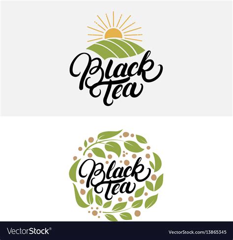 Set Of Black Tea Hand Written Lettering Logos Vector Image