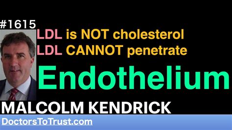 Malcolm Kendrick D Ldl Is Not Cholesterol Ldl Cannot Penetrate