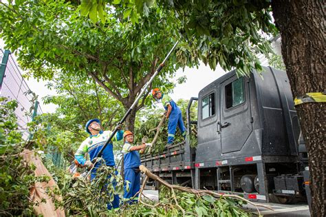 Ação rápida da Prefeitura de São Caetano restabelece normalidade após