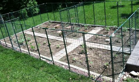 Cheap Vegetable Garden Fence Hawk Haven