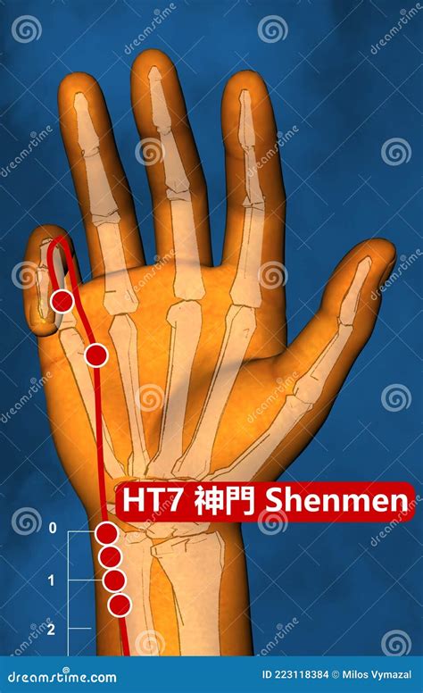 Acupuncture Point Ht Shenmen D Illustration Blue Background Stock