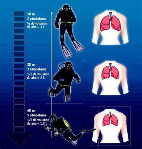 Pin On 65A 1 Tauchen Technical Diving Scuba Diving Quotes Scuba