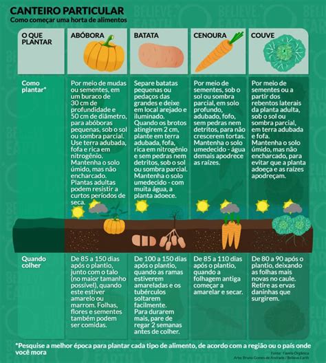 Como Fazer Uma Horta Em Casa Believe Earth Em 2024 Horta Em Casa