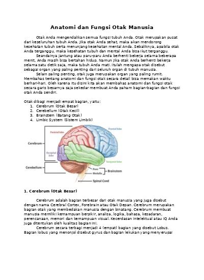 Fungsi Otak Manusia