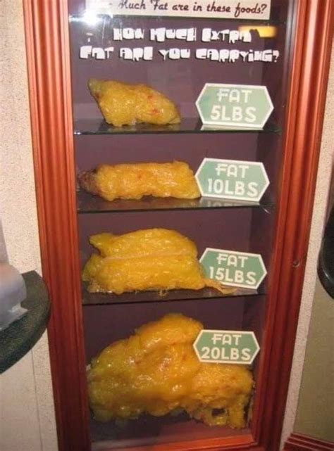 How Much 51015 And 20lbs Of Fat Transform Forever
