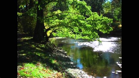 "Morning Poem" by Mary Oliver | Morning poem, Mary oliver, Photo story