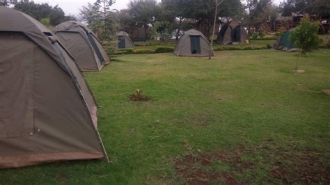 Days Tanzania Camping Safari Golden Trips Tanzania