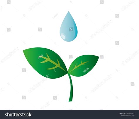 Vector Illustration Grass Water Environment Ecology Stock Vector Royalty Free 1882662412