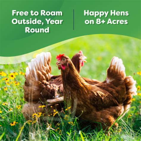 Happy Egg Co ® Organic Free Range Grade A Eggs 18 Ct Fred Meyer