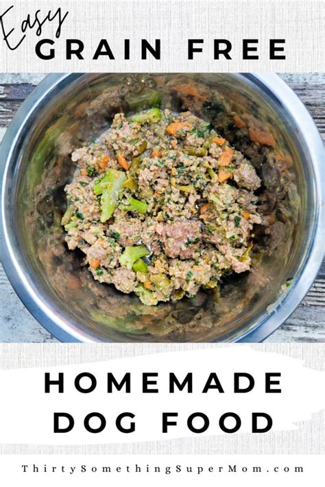 Grain Free Dog Food Recipe - Homemade, Healthy & Easy