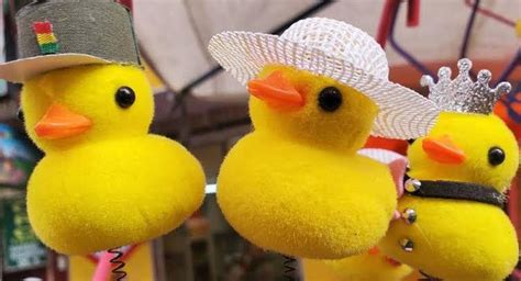 La Moda De Los Patitos En La Cabeza Lleg A Pilar D Nde Conseguirlos