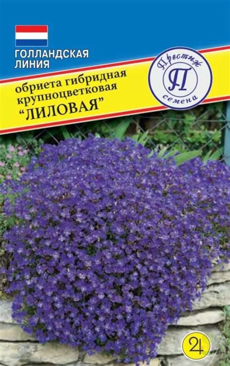 Обриета Лиловая купить семена по низкой цене, доставка почтой по всей ...