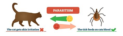 Examples Of Parasitism Relationship In Animals