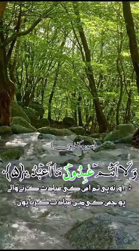 Surah Al Kafirun Beautiful Recitation Salim Bahanan Quran Shorts