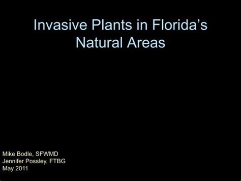 Invasive Plants In Florida S Natural Areas