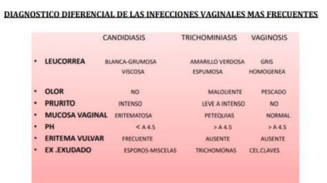 Fichas De Aprendizaje Vulvovaginitis Infecciones Genitales Bajas