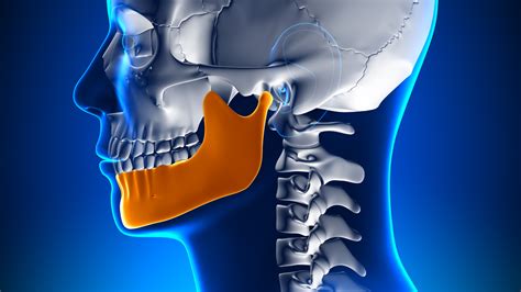 Articulaci N Temporomandibular O Atm Cl Nica Fivasa