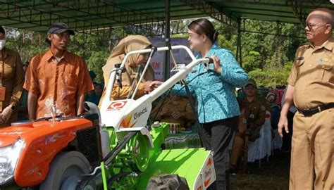 Peringati Hkg Pkk Ke Ketua Tp Pkk Kubar Serahkan Bantuan Hand