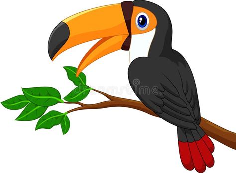 Toucan Cartoon