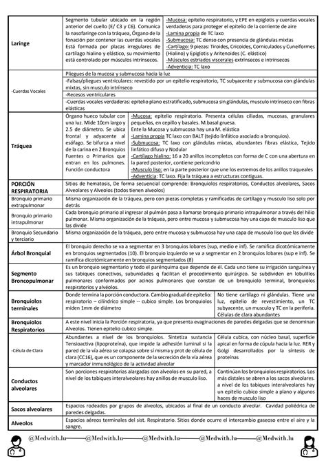 Solution Cuadro Sistema Respiratorio Histologia Studypool The
