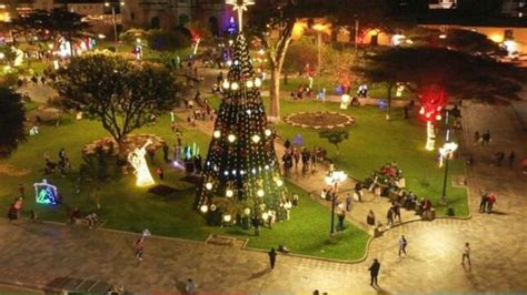 Iluminamos El Árbol De Navidad MAS GRANDE DE CAJAMARCA Noticias