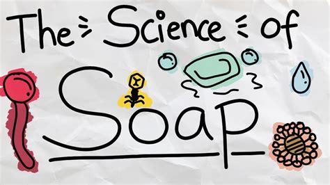 How Does Soap Clean Dishes And Kill Bacteria Youtube