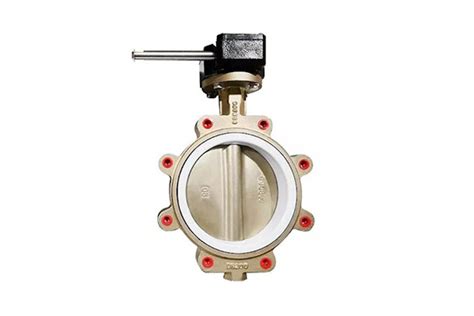 Complete Butterfly Valve Installation Guide Dombor