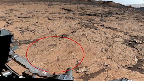 Bizarre Polygons On Mars Surface Hint That Alien Life On Red Planet Was Possible Live Science