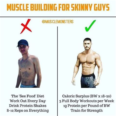 Muscle Building For Skinny Guys By Musclemonsters Want To Bulk Up