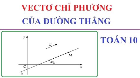 Vectơ Cảm Ứng Từ Khái Niệm Công Thức và Ứng Dụng Thực Tế