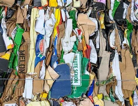 Is Paper Biodegradable All About Paper Waste