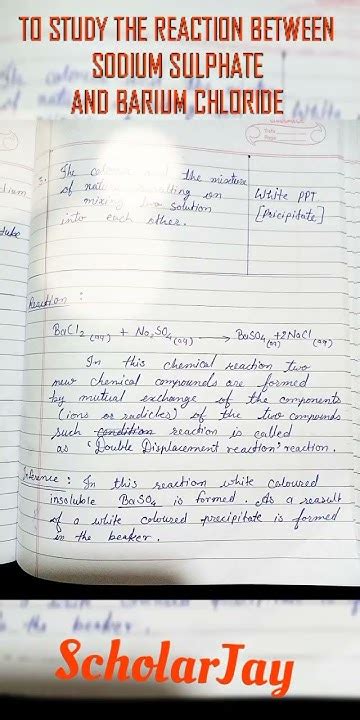 The Reaction Between Sodium Sulphate And Barium Chloride Written Practical Science Class