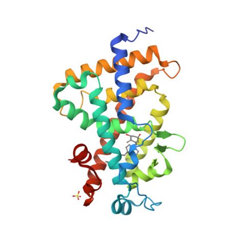 Rcsb Pdb 7qpp High Resolution Structure Of Human Vdr Ligand Binding