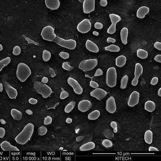 The Evolution Of Microstructure With Solution Treatment Time A