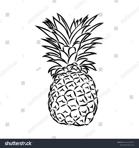 Image Pineapple Fruit Vector Black White Stock Vector Royalty Free 2143530213 Shutterstock