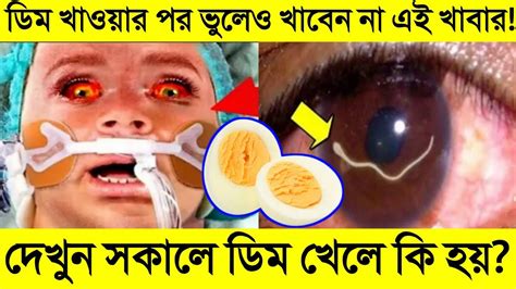 ডিম খাওয়ার পর ভুলেও এই খাবারটি খাবেন না সকালে ও রাতে ডিম খেলে কি হয়