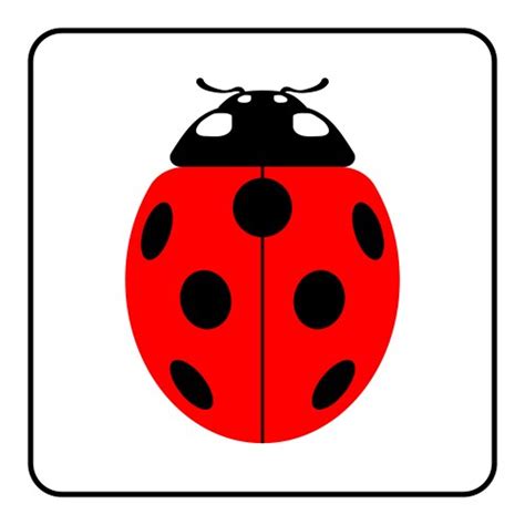 Ladybug Vector Images (over 25,000)