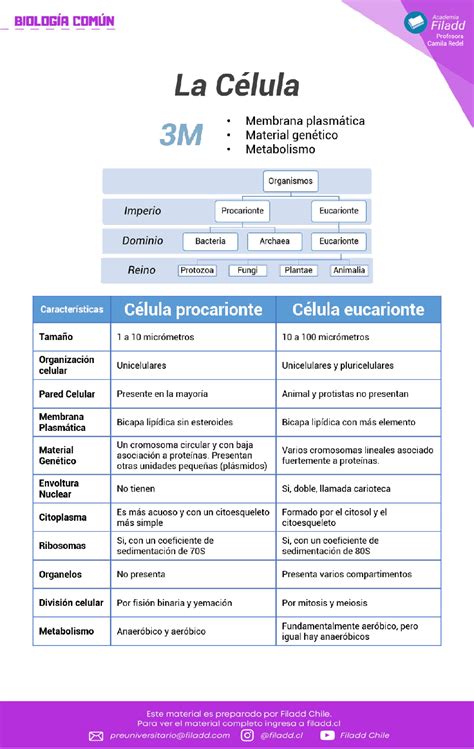 Propiedades Y Tipos De Células Curso Online De Prueba De Transición Biología Módulo Común Y