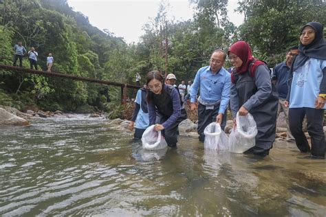 Keluasan Hutan Simpan Kekal Di Selangor Bertambah 489 Hektar Selangorkini