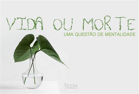 Vida Ou Morte Uma Quest O De Mentalidade Iccm Igreja Crist Corpo