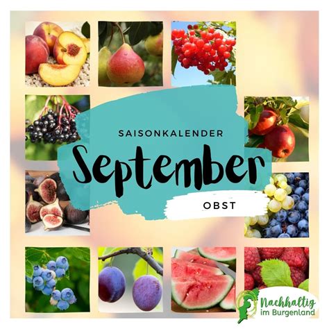 Saisonkalender September Nachhaltig Im Burgenland