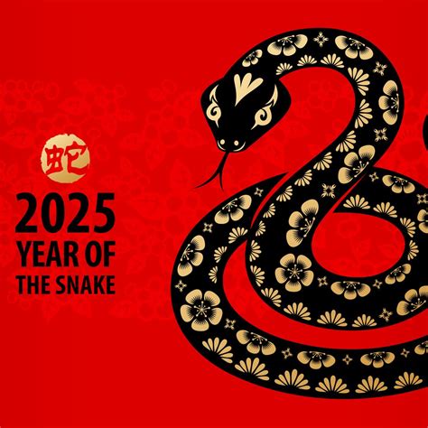 Chinese New Year 2026 Date