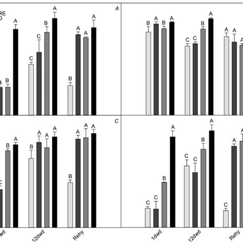 Analysis Of Chlorophyll A Fluorescence During Water Deficit And