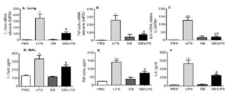 Table 1 From The Role Of P 38 Mapk Signaling Pathway In Macrophage