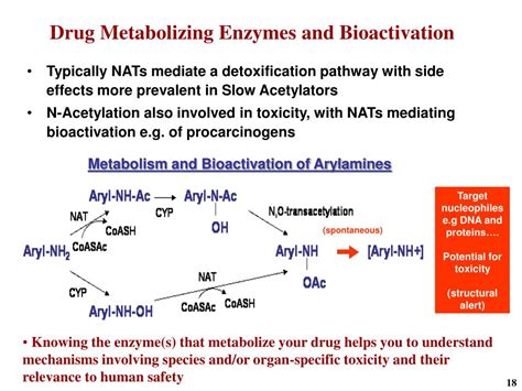 Ppt Predicting Human Drug Metabolism And Pharmacokinetics In Drug