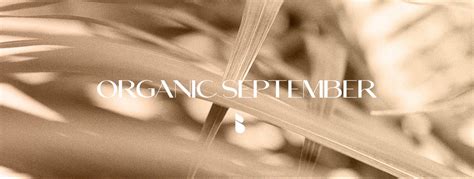 Organic September – Beyond Organic Skincare