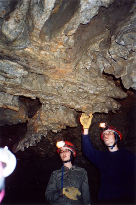 Logging Plans For Cody Caves Area Withdrawn My Nelson Now