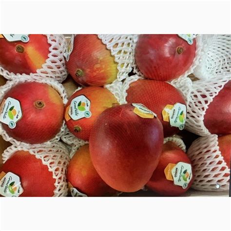 Продам манго, купить манго, Киев — Agro-Ukraine